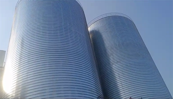 鼓楼2座混凝土高架卷板仓